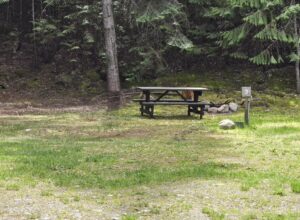 Site 3.