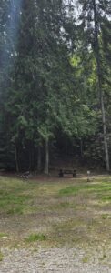 Site 4..